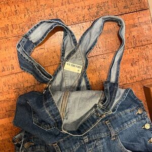 Free People Denim Overalls